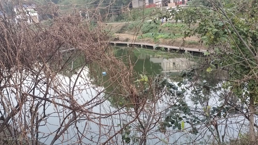 大塘钓鱼场
