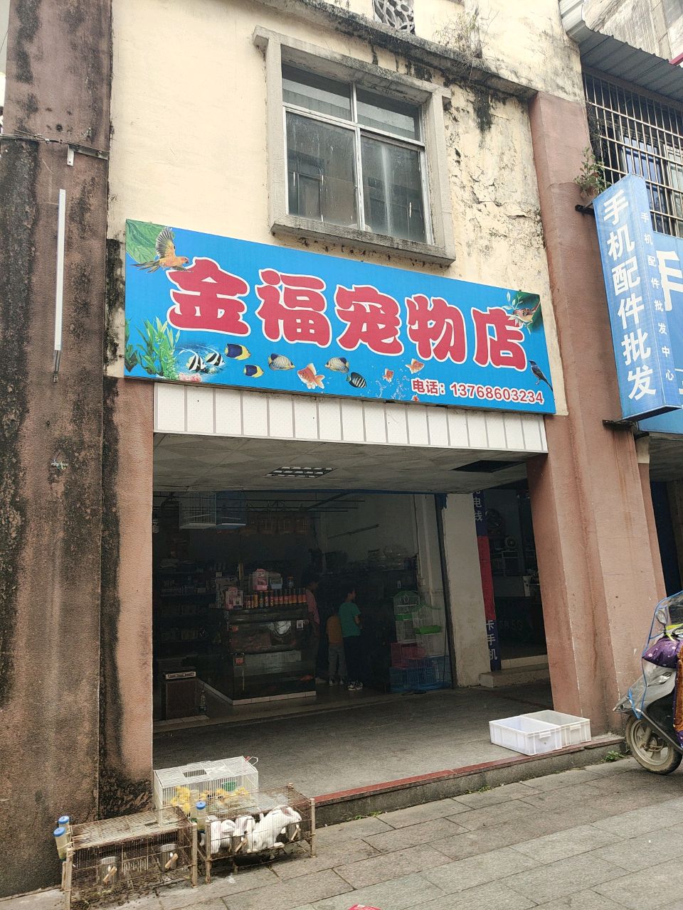 横州市金福宠物店