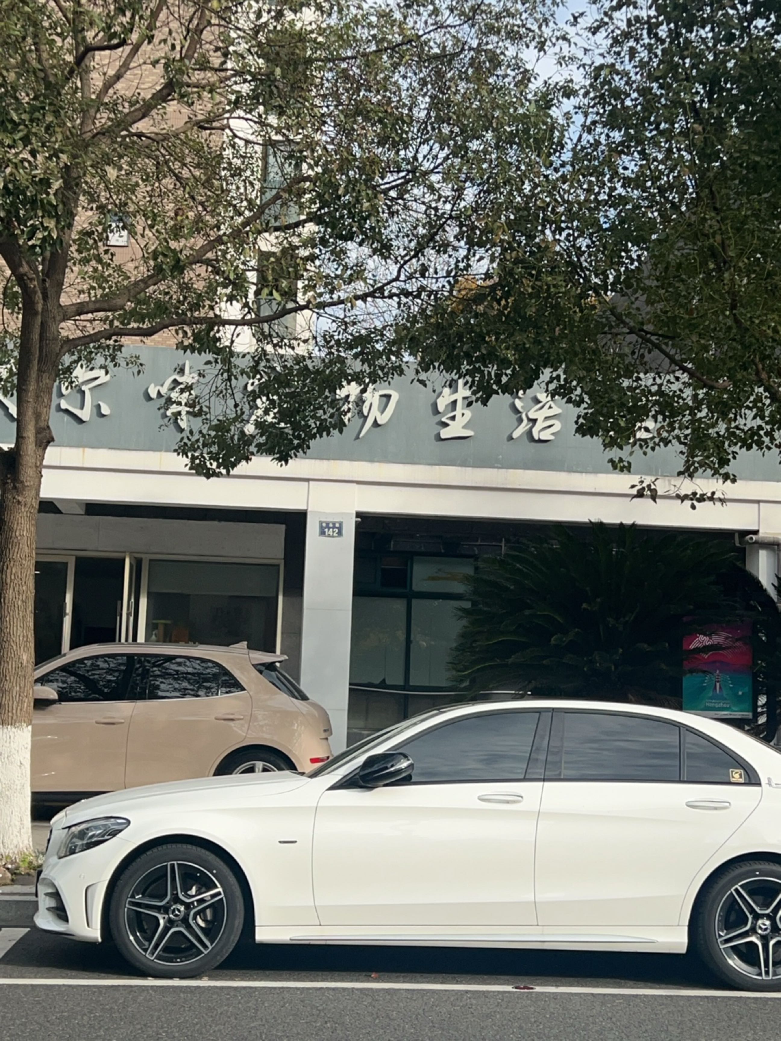 艾尔咪宠物(新城店)