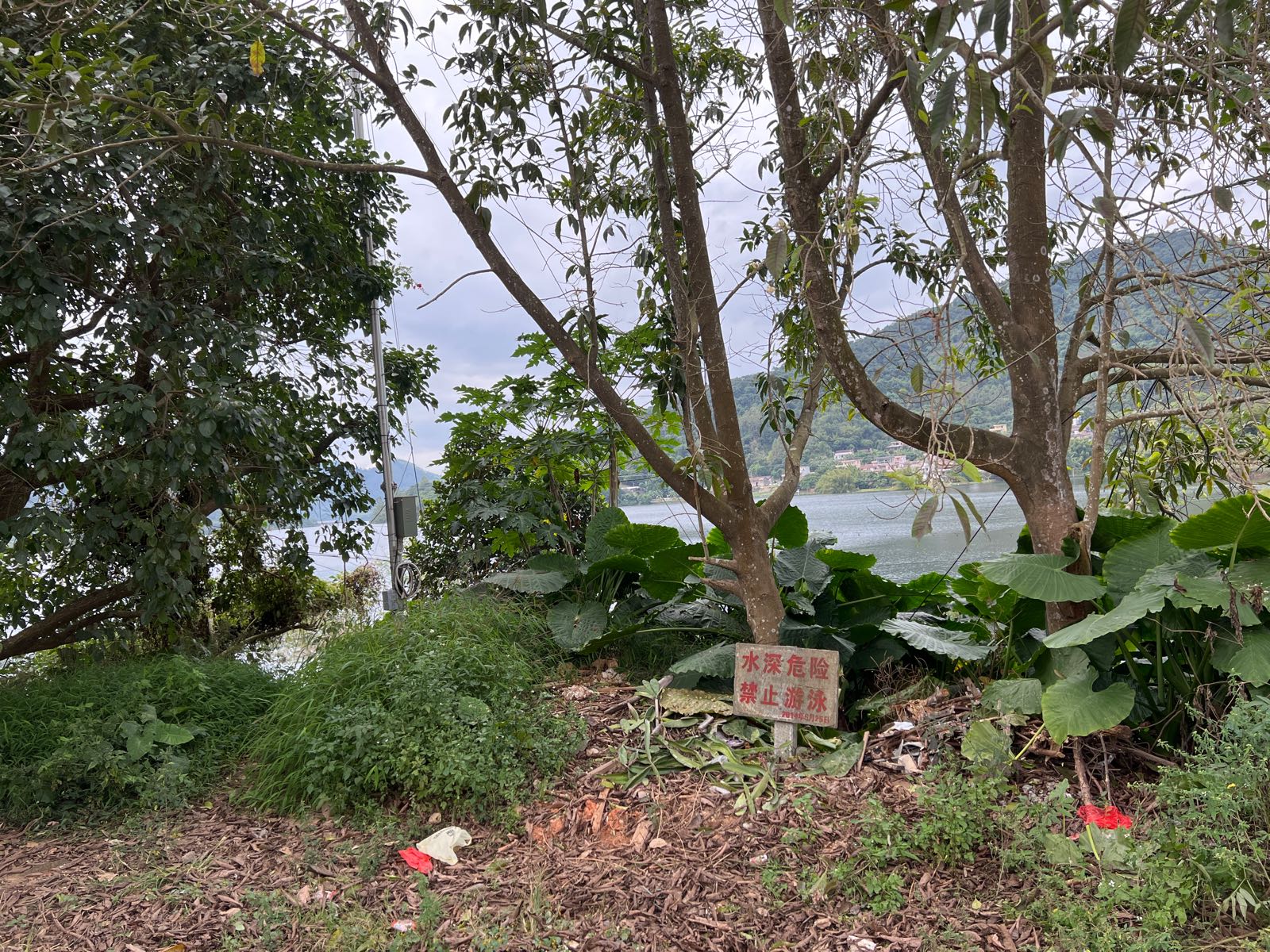 太平湖日落观景台