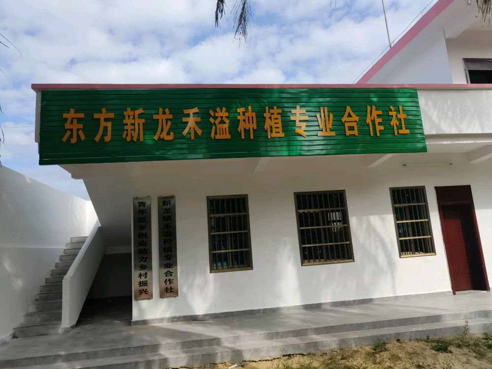 东方新龙禾溢种植专业合作社