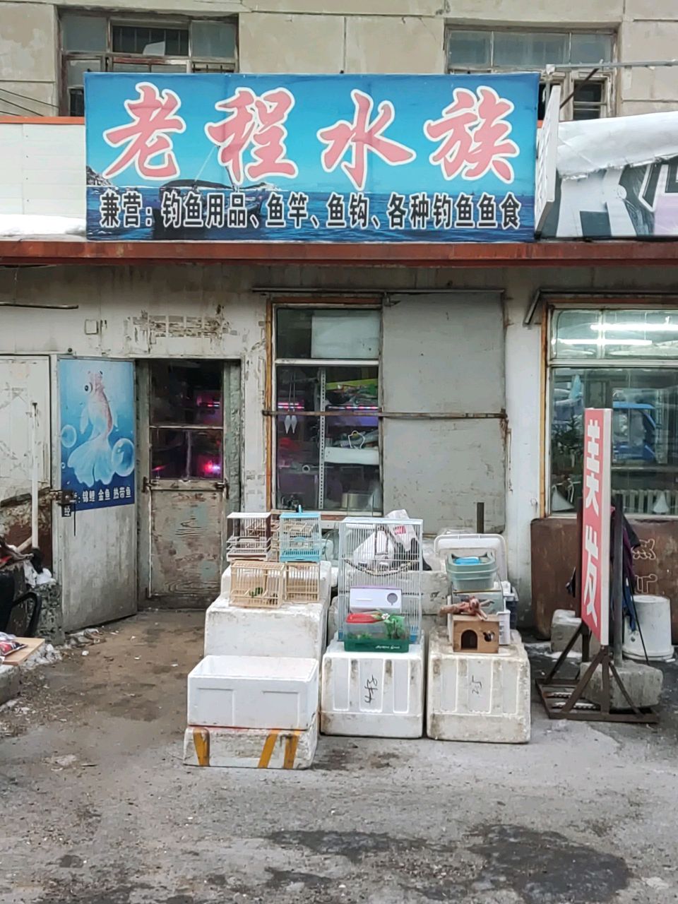老程水族