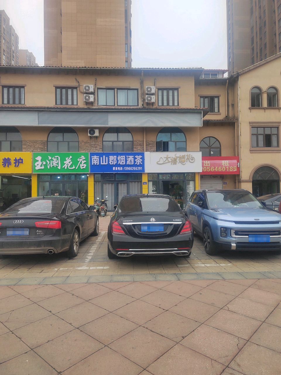 玉澜花点