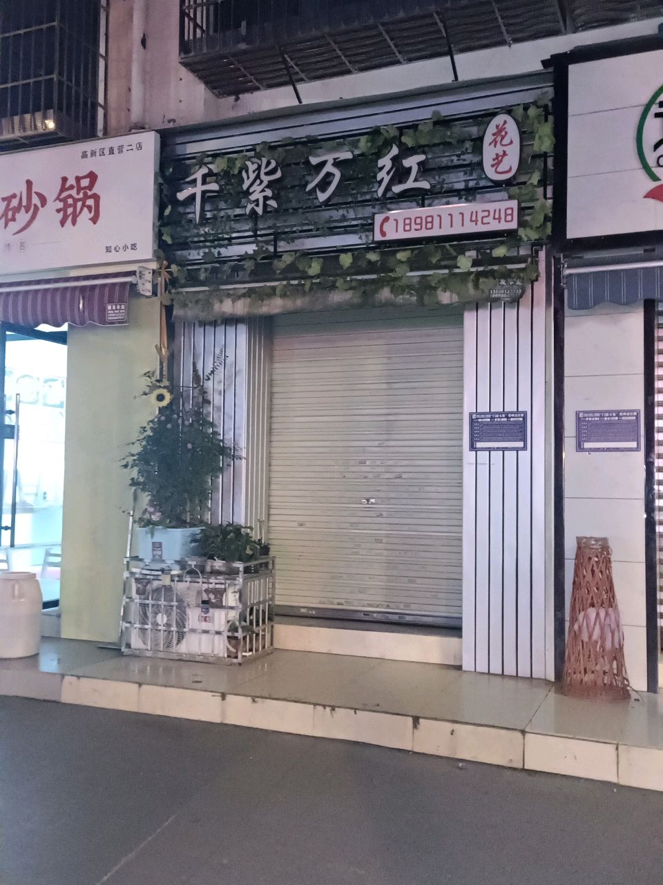 千紫万红鲜花