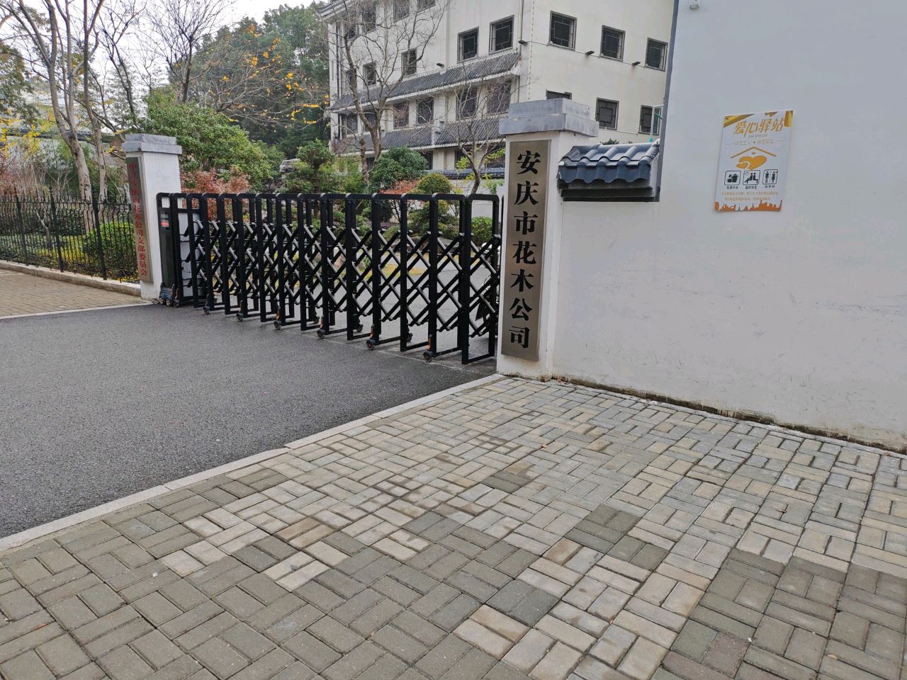 安庆市花木公司