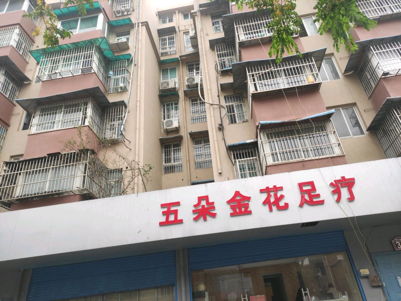 五朵金花足艺