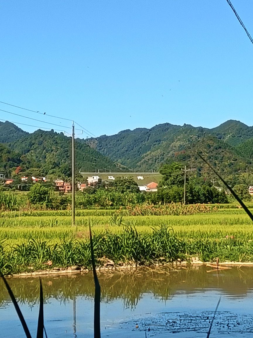 野马水库