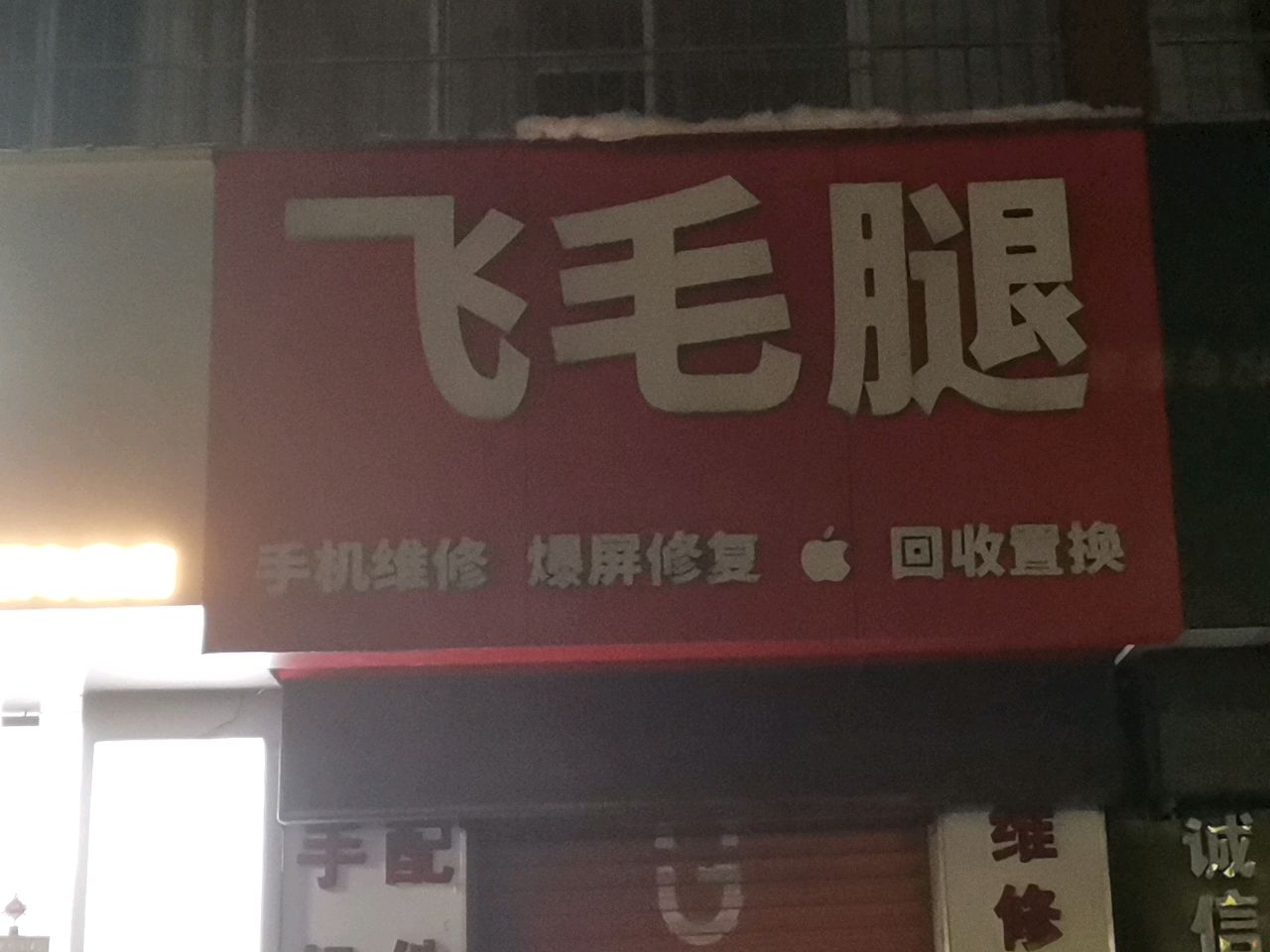 荥阳市飞毛腿(通利专营店)