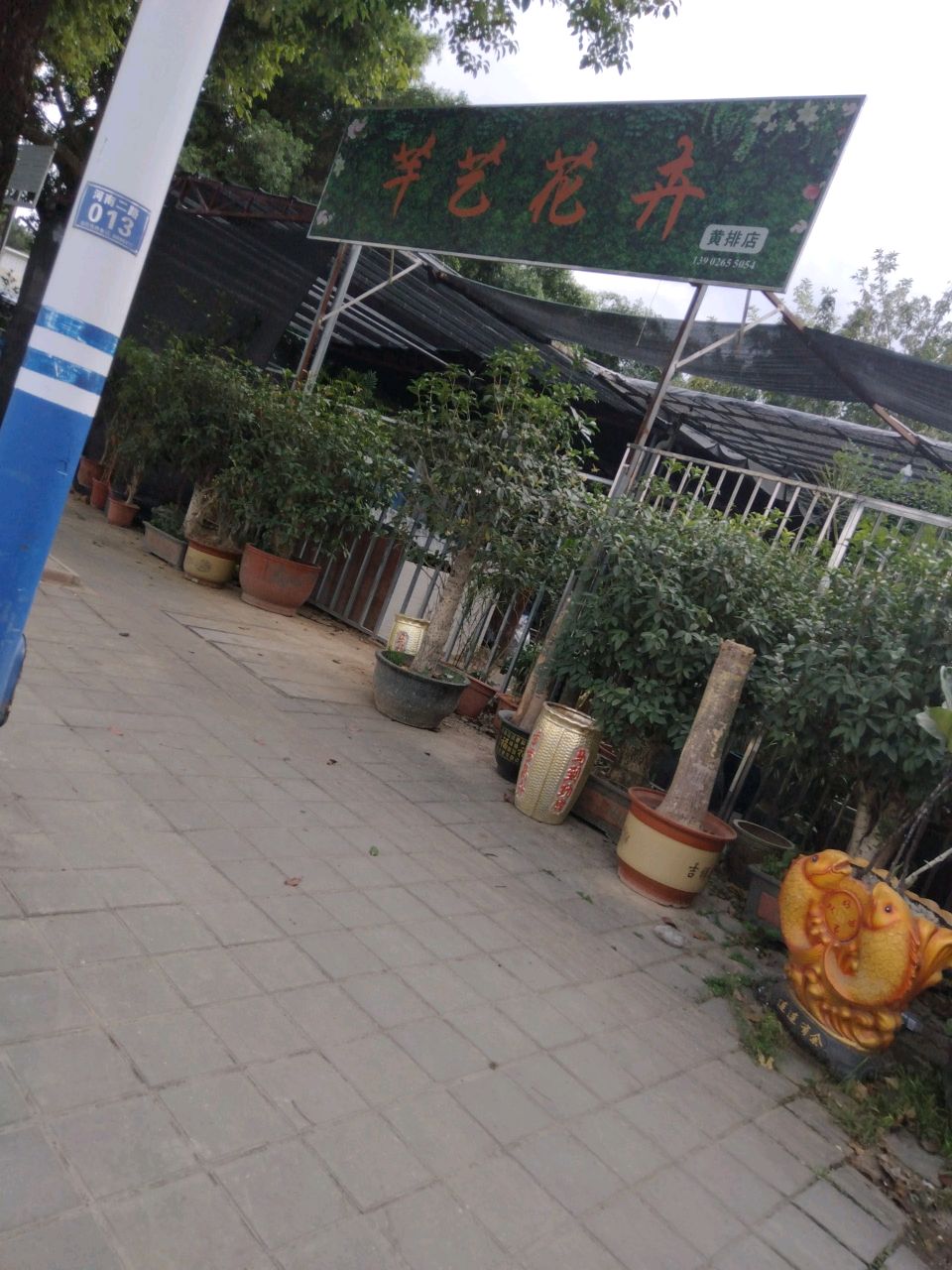 芊艺花卉(黄排店)