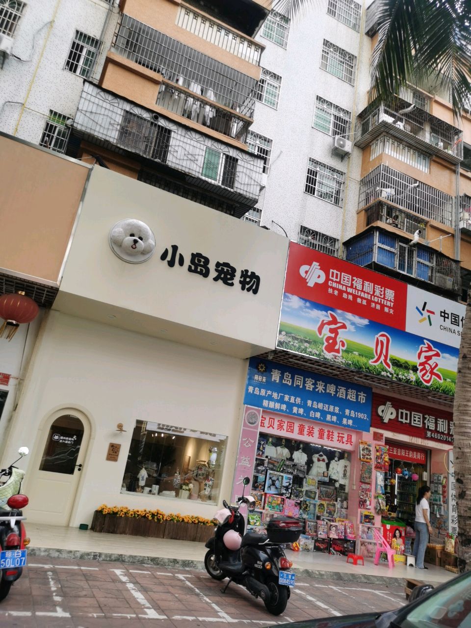 小岛宠物店(丹州小区店)