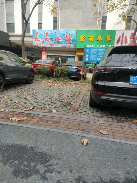 森森水族(人民西路店)