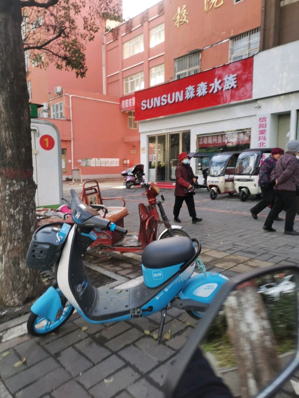 森森水族(北京大街北段店)