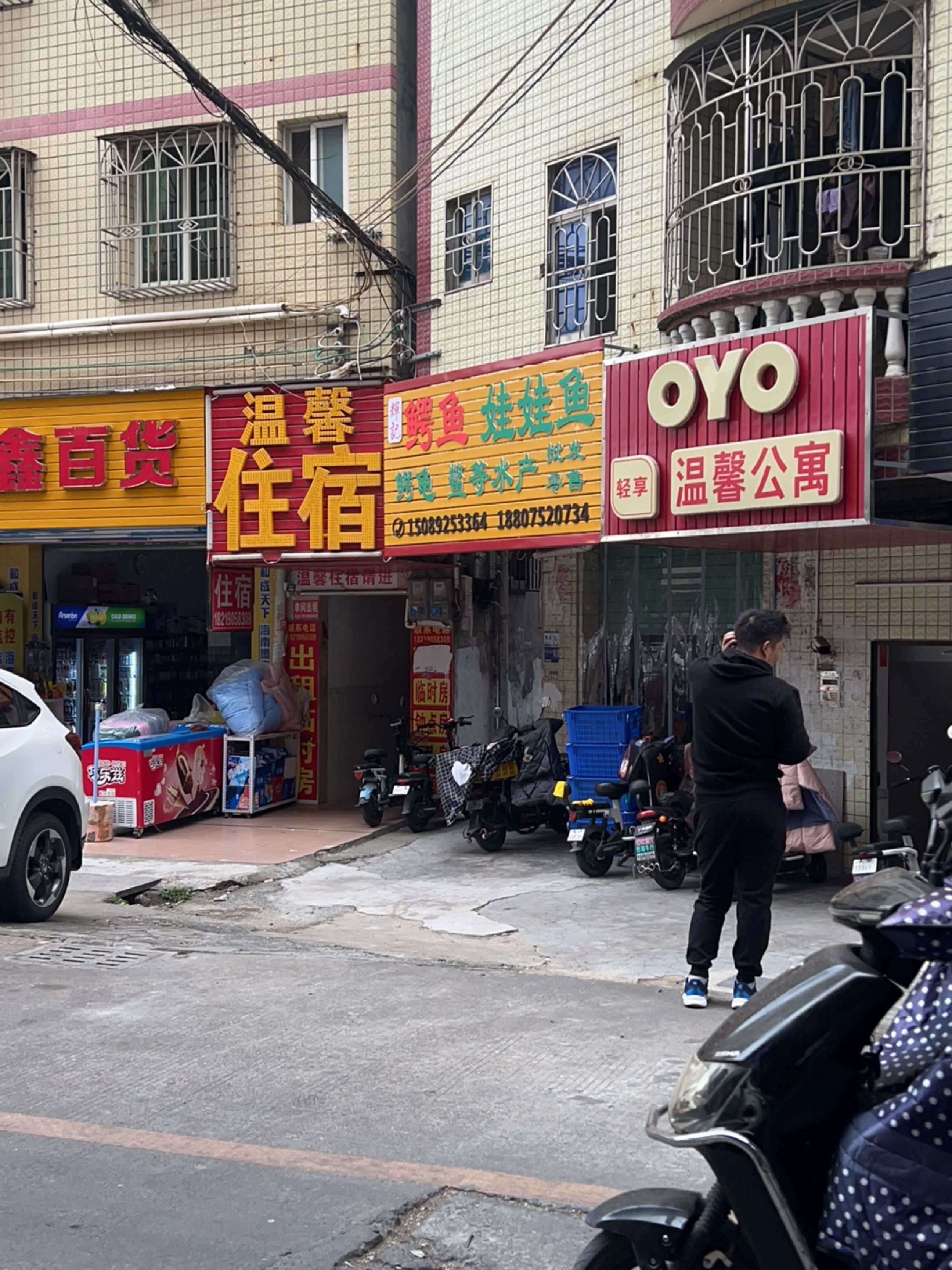 辉记鳄鱼娃娃鱼