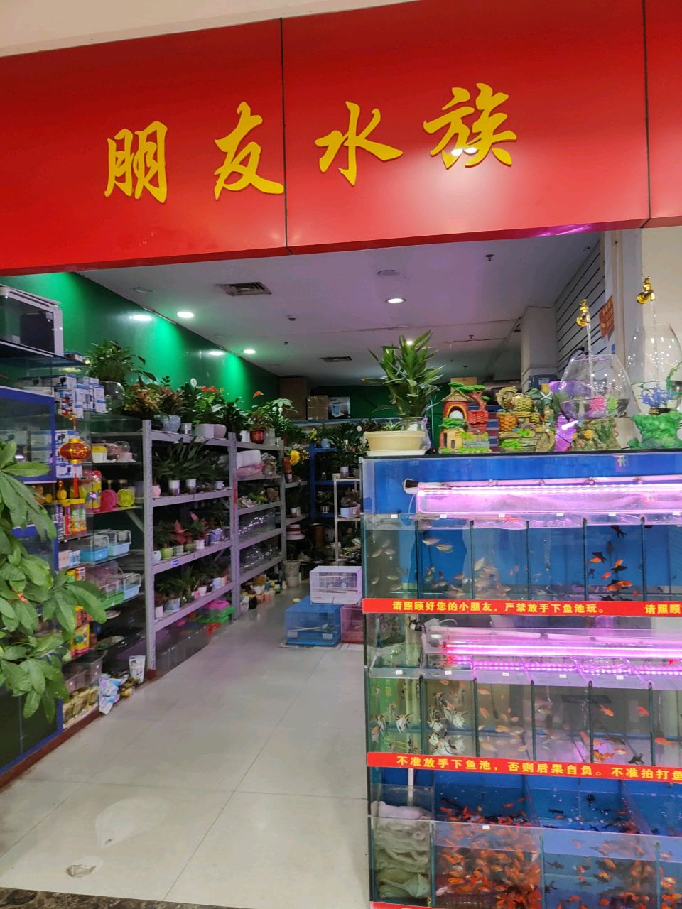 朋友水族