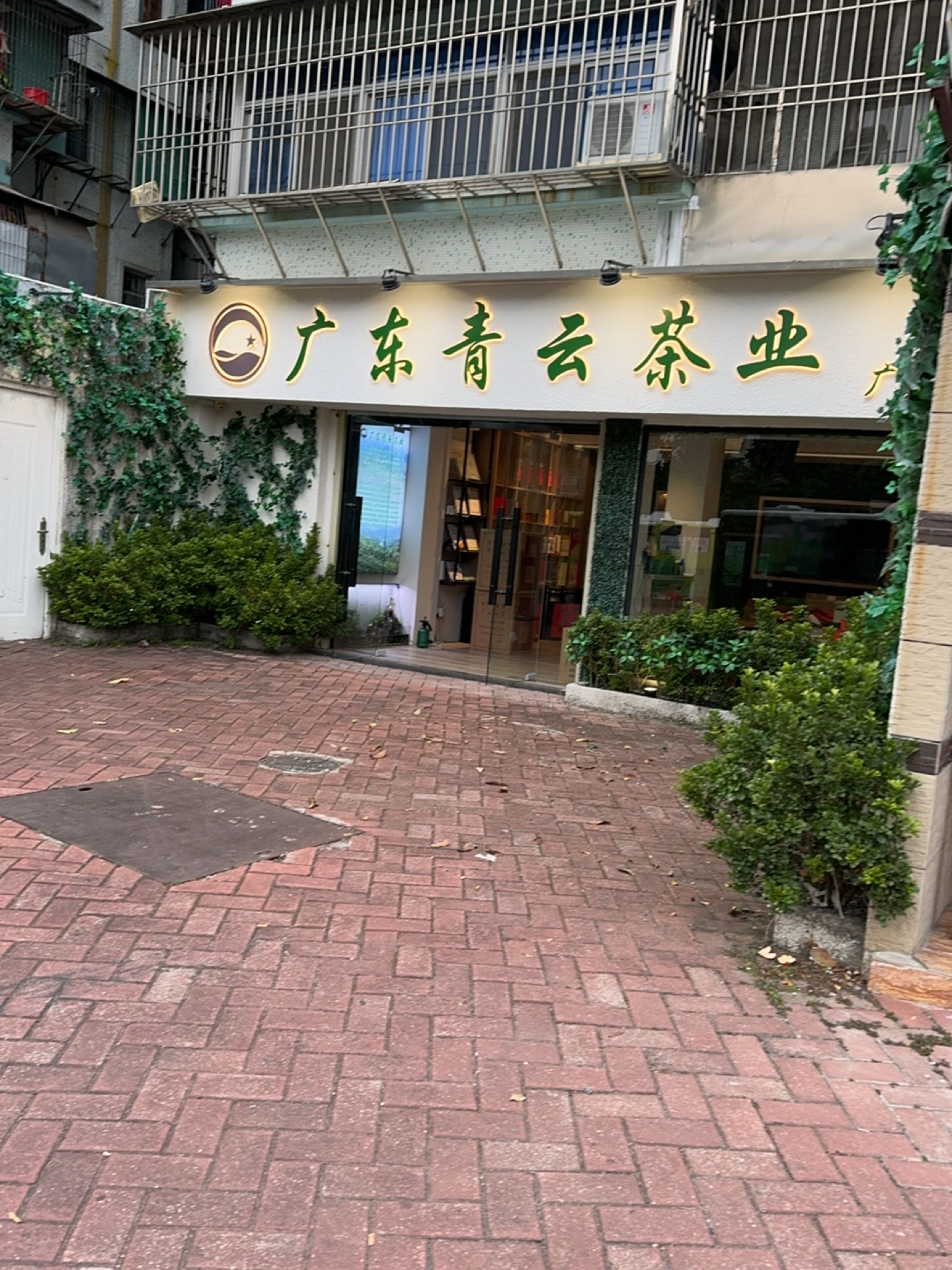 广东青云茶业(广厦店)