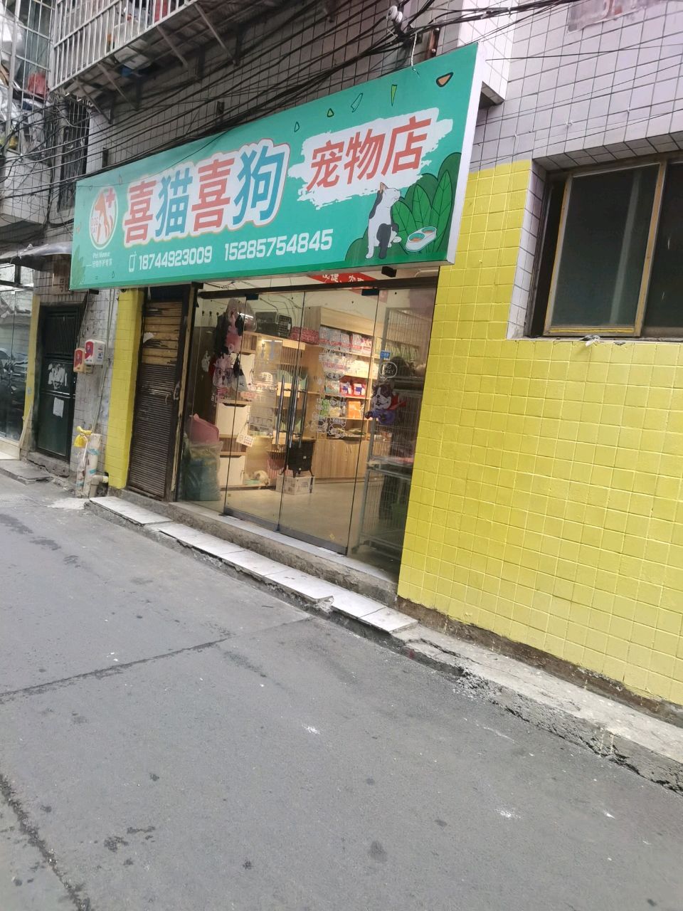 喜猫喜狗宠物店