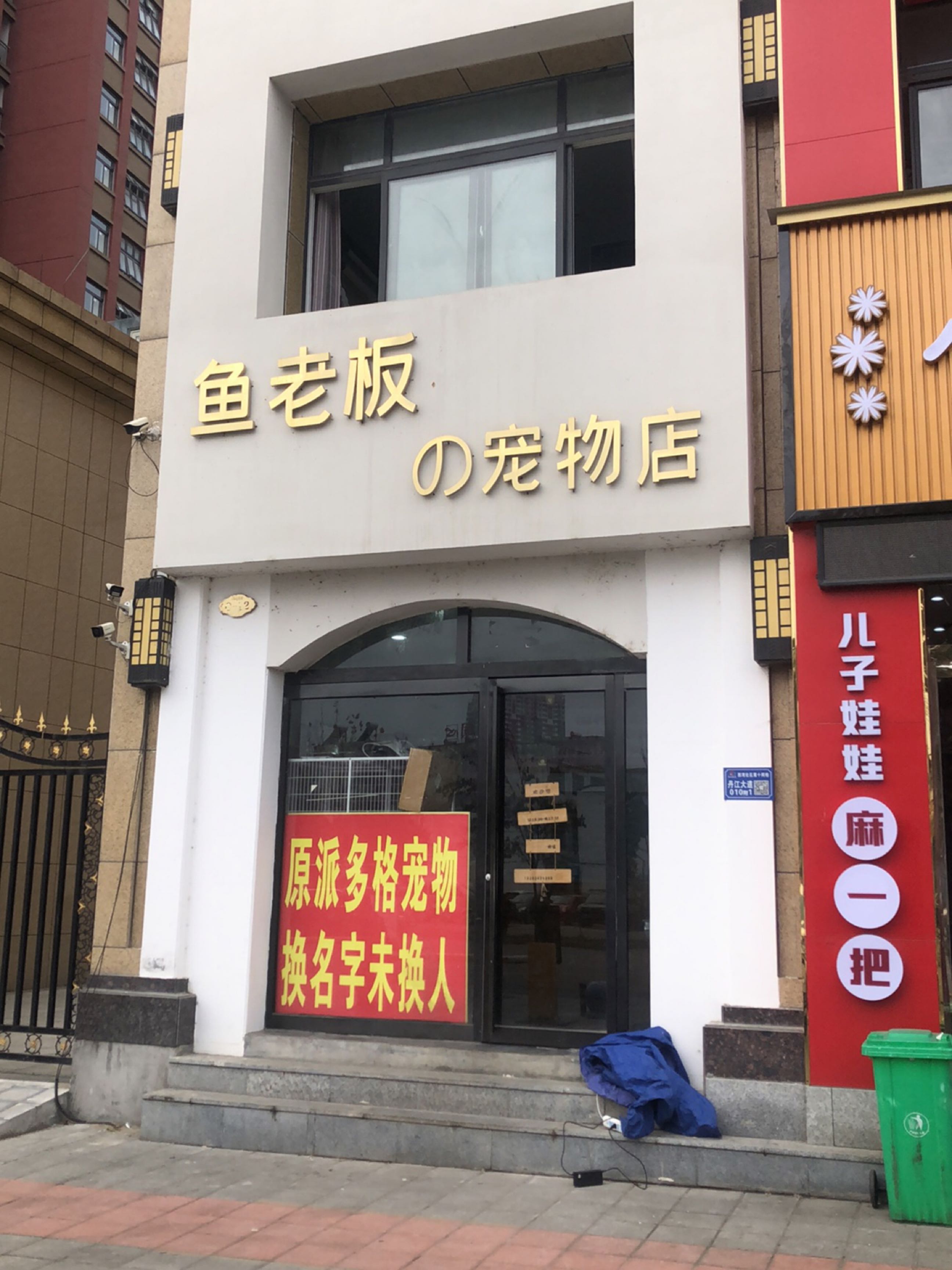 鱼老板的动物店