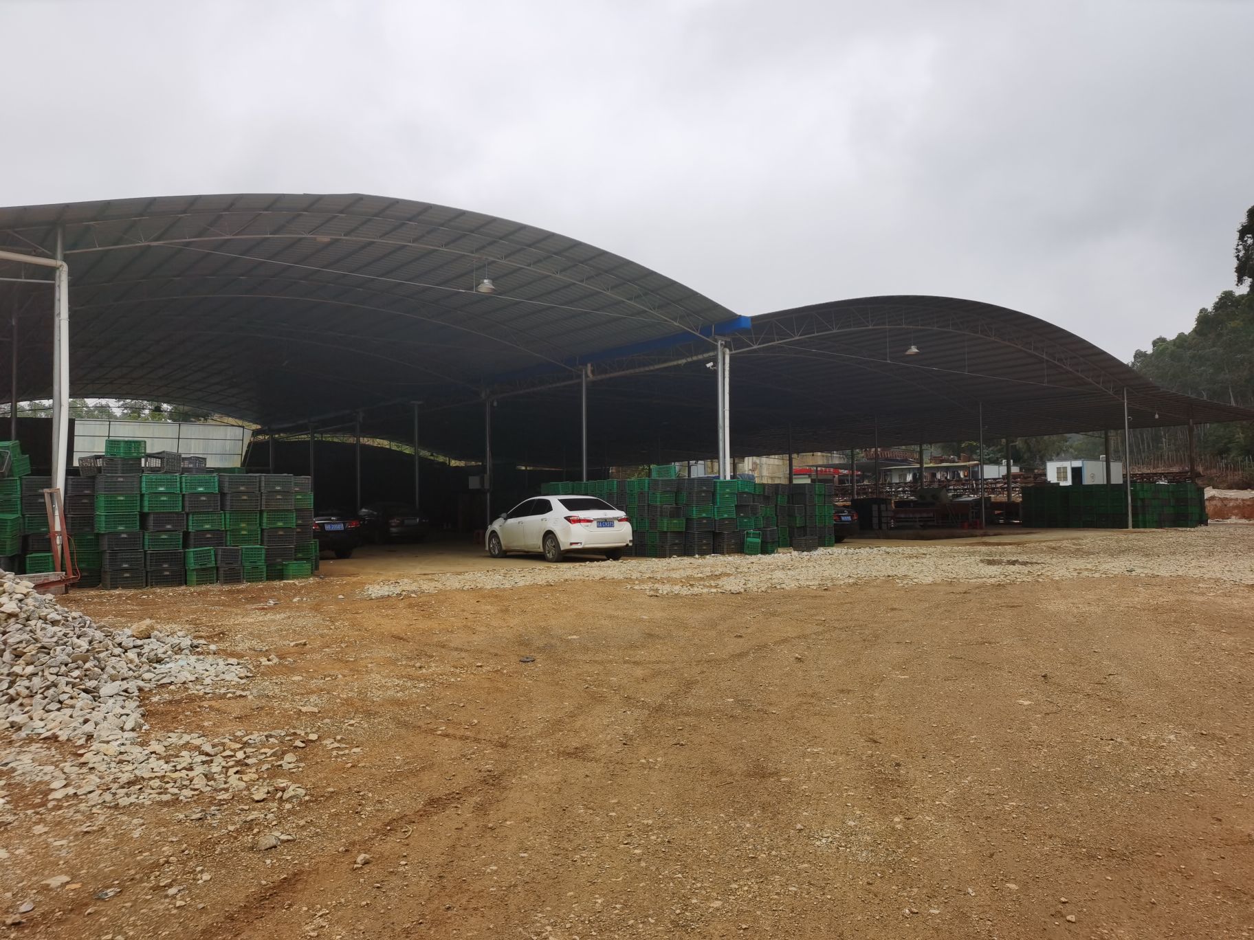 岜盆乡东耀果业