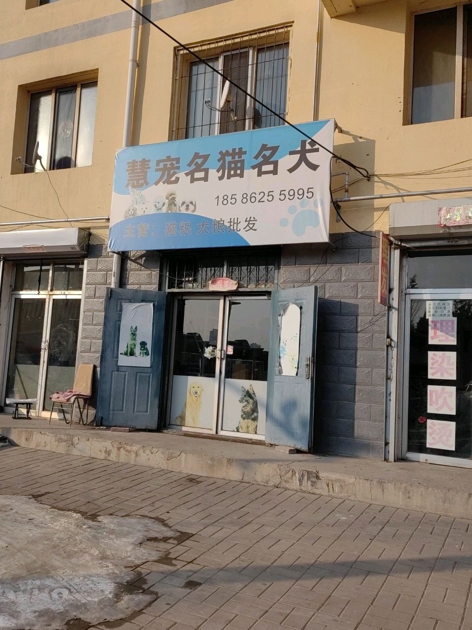 慧宠名猫名犬