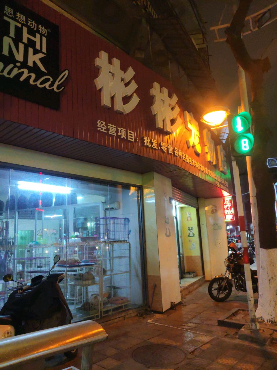 石狮彬彬宠物店