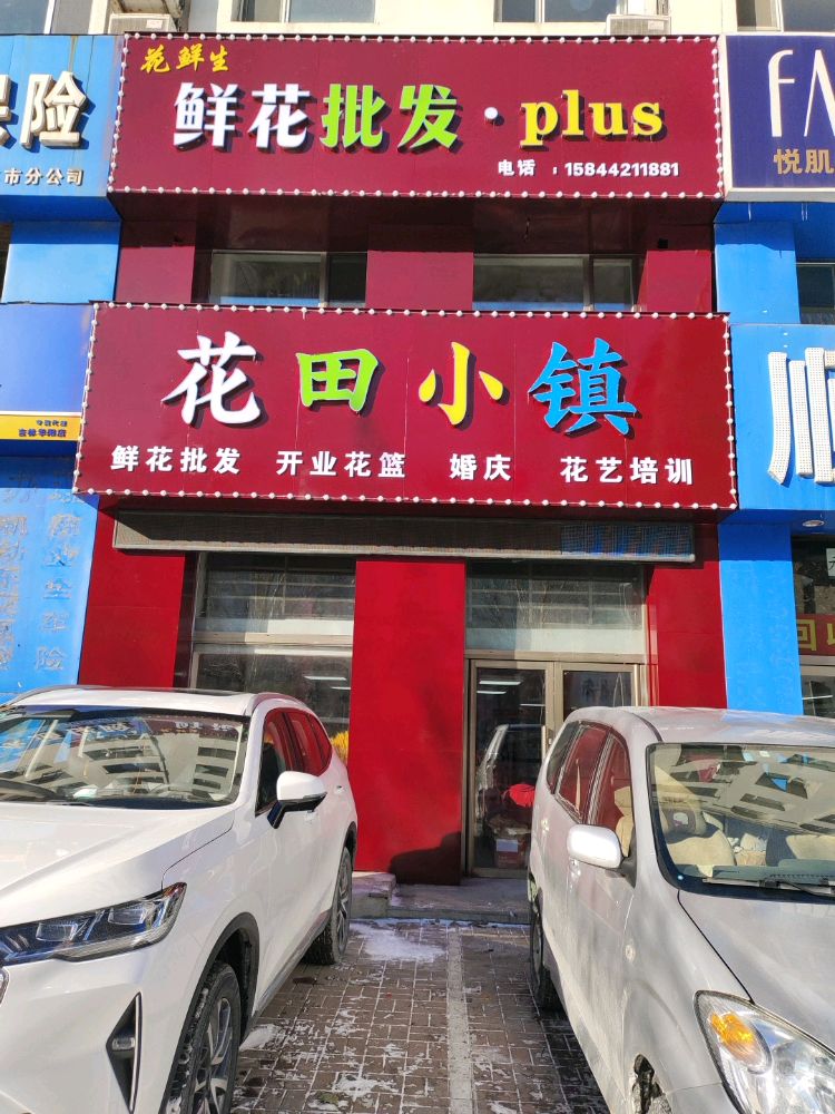 花鲜生鲜花批发·plus