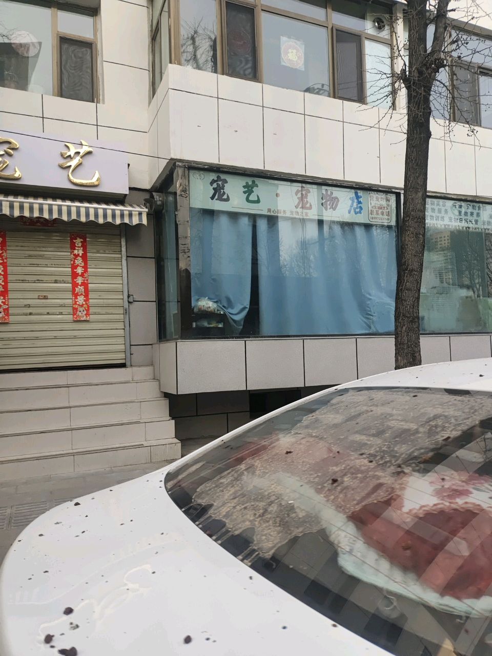宠艺宠物店(海晏路店)
