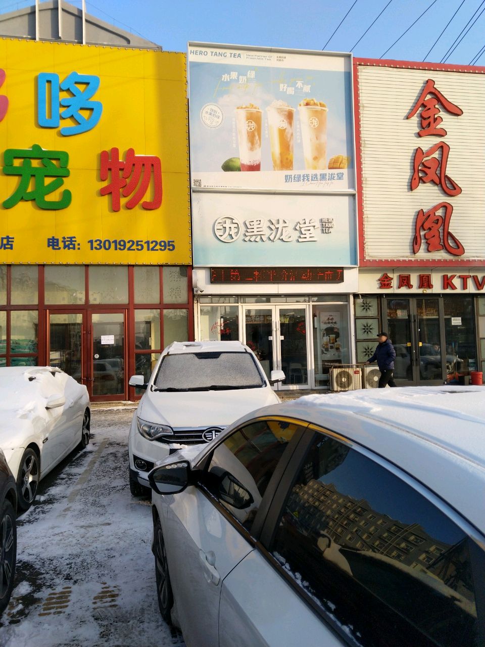 金凤凰
