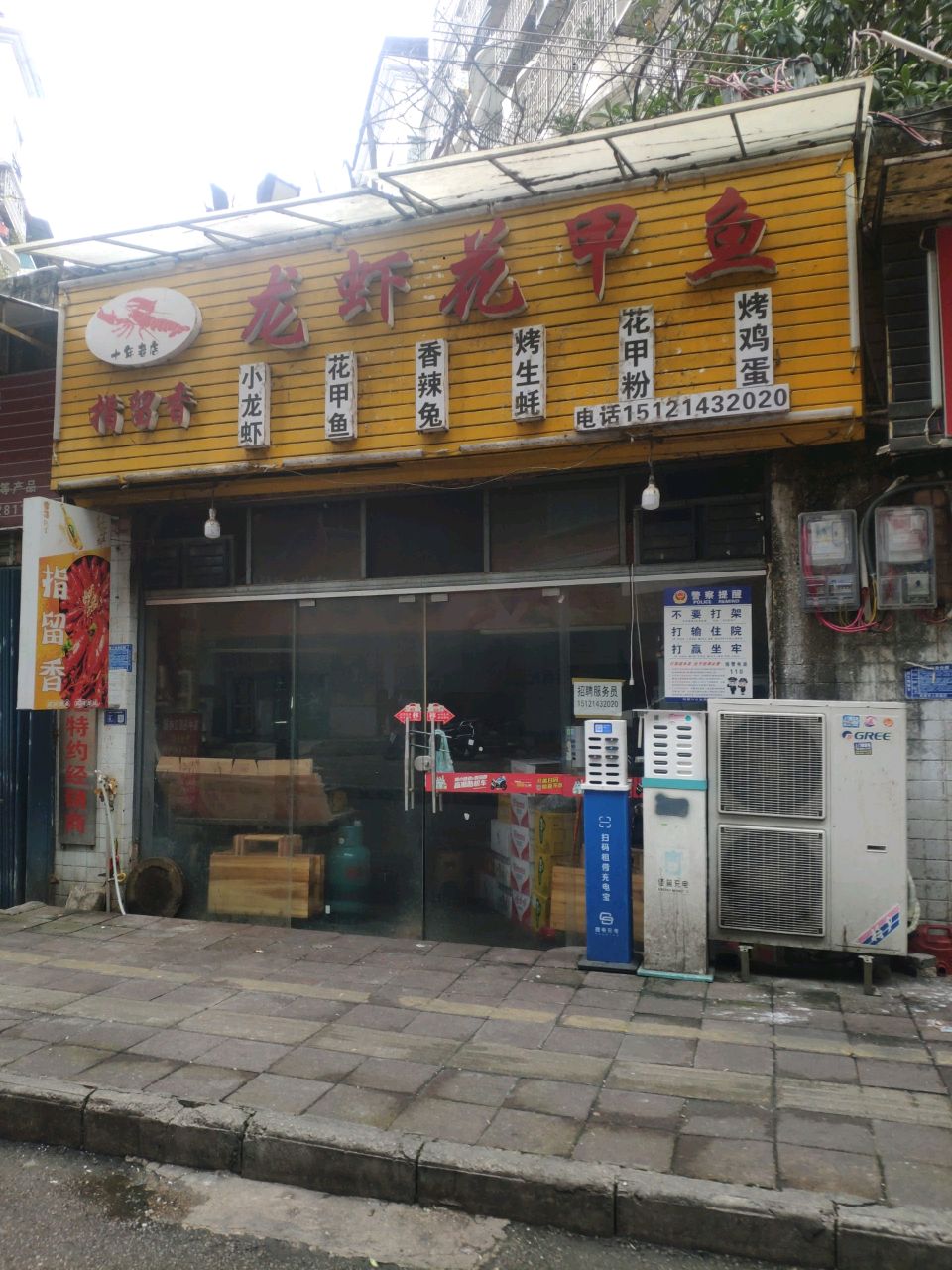 指留香小龙花甲鱼