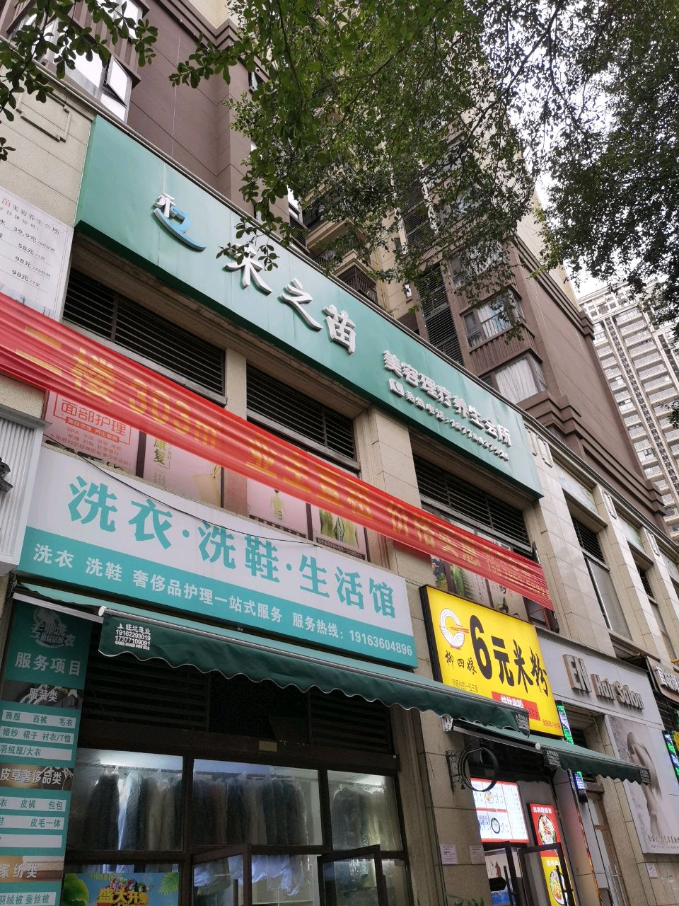 禾之苗