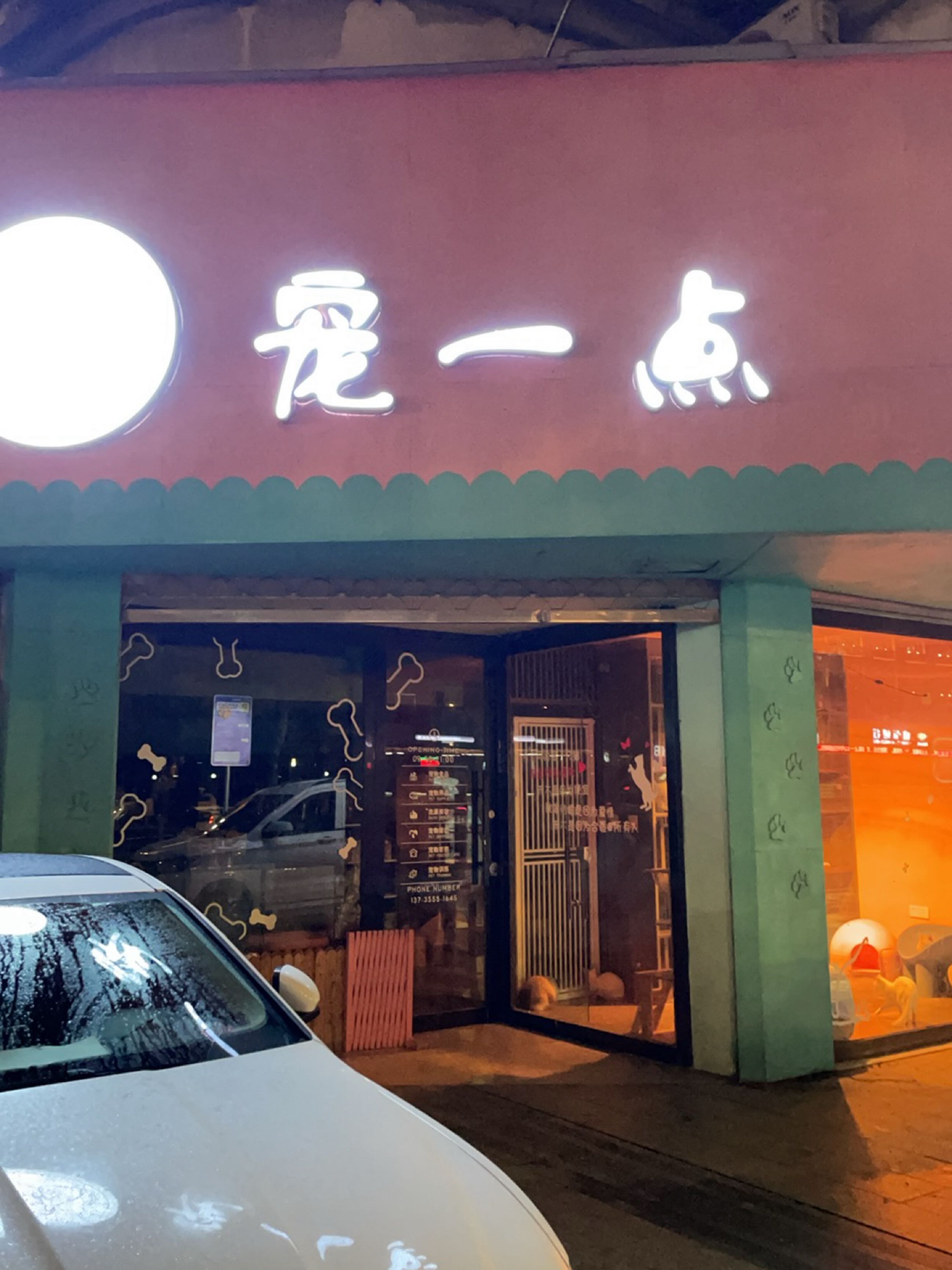 宠一点专业猫洗护