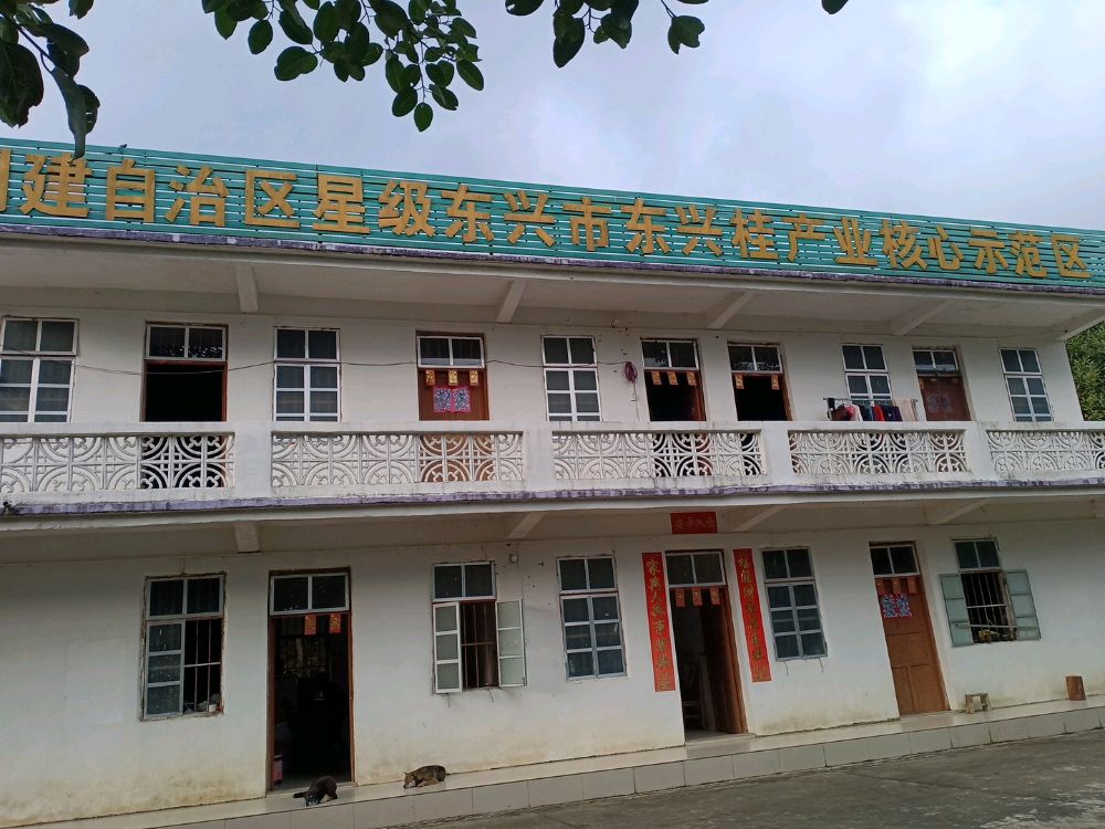 东兴桂标准化种植示范区