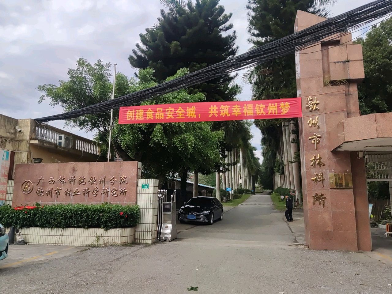 广西林科院(钦州分院)