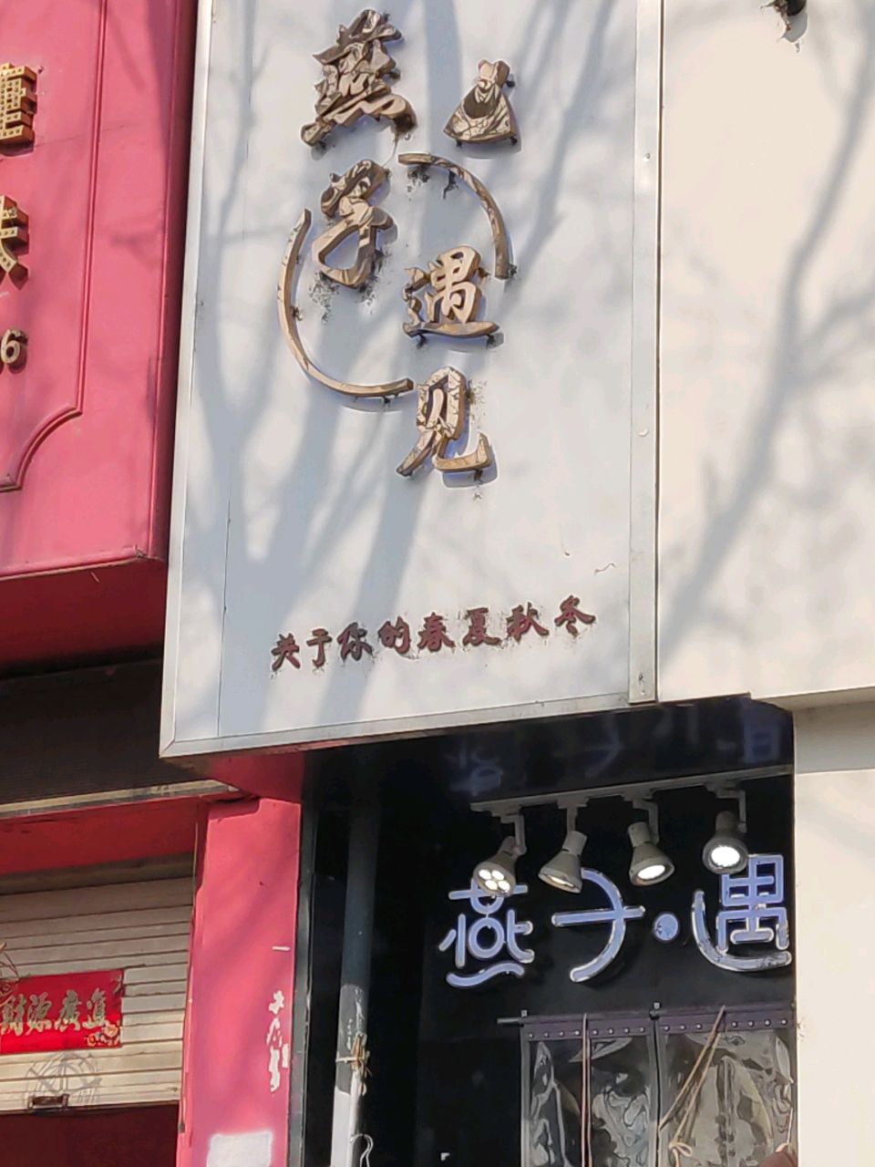 登封市燕子遇见