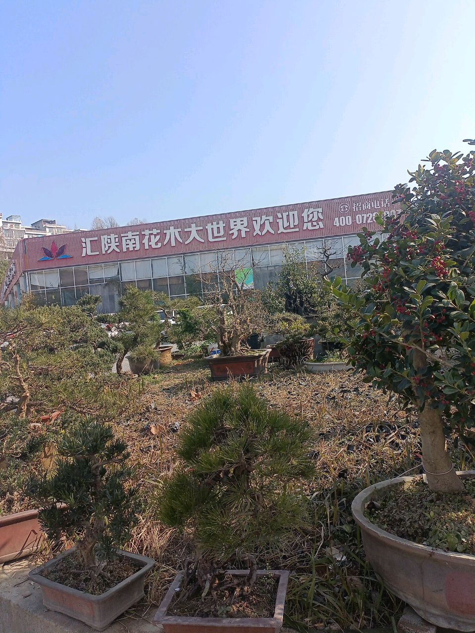 陕南花木大世界