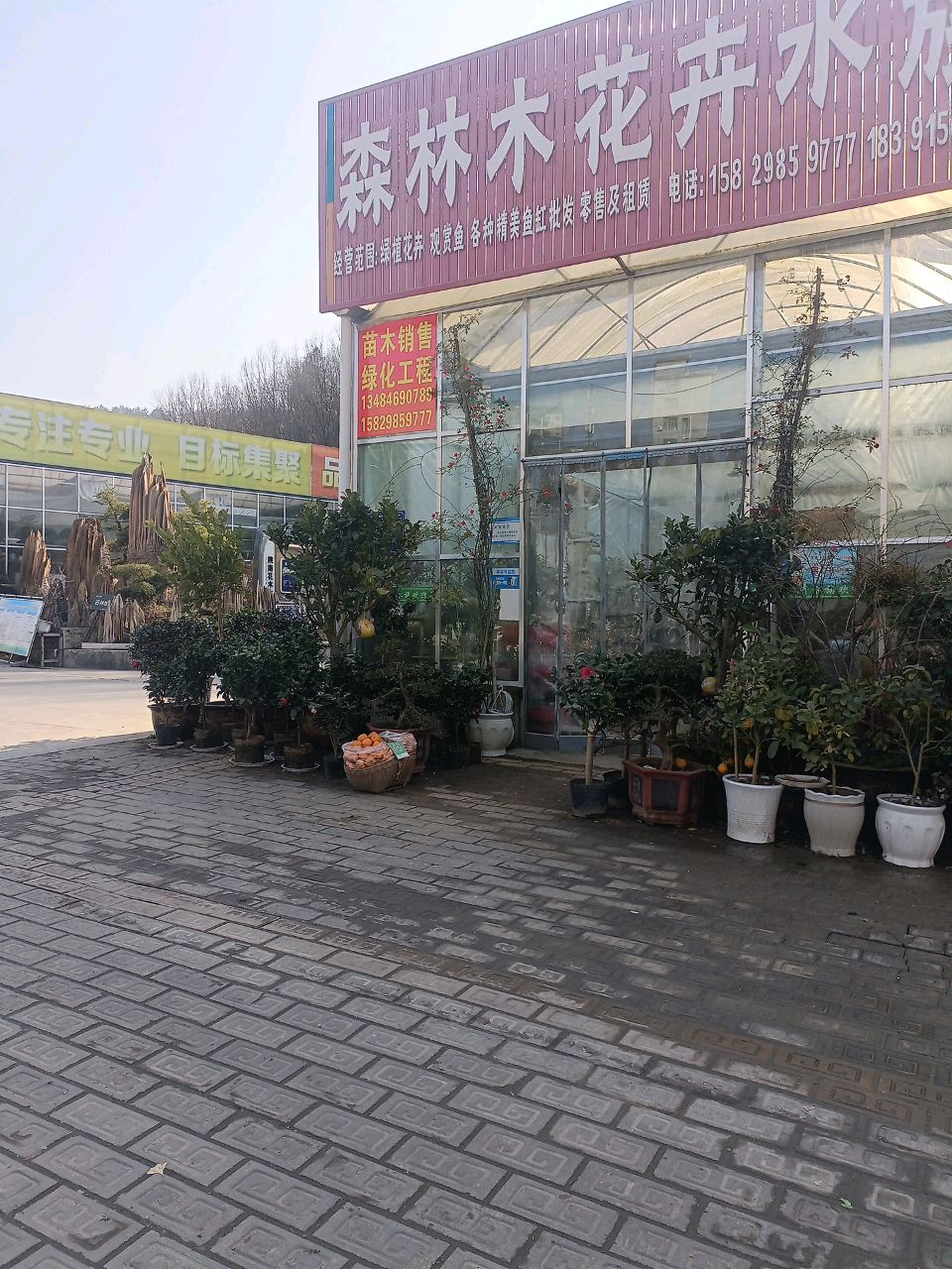 森林木花卉水族
