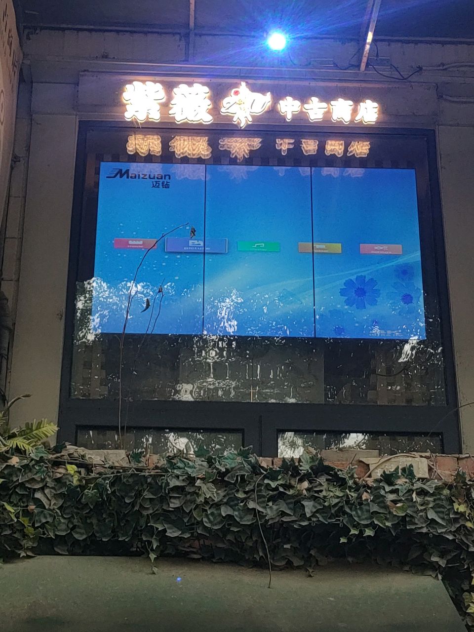 紫薇太中古商店(精品古着)