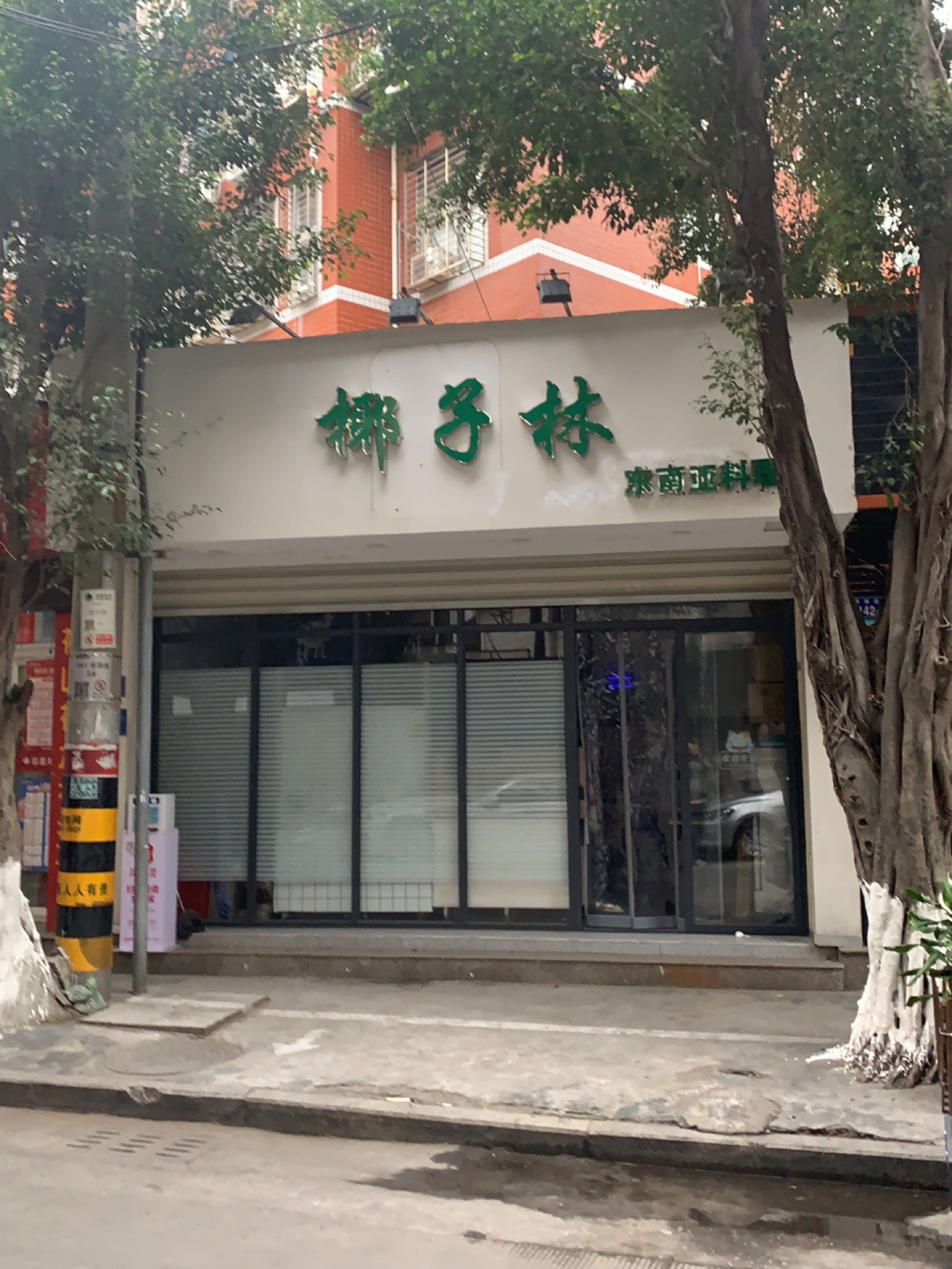 椰子林东南亚料理(金崎阁店)