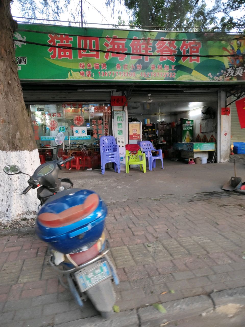 猫四海鲜餐馆