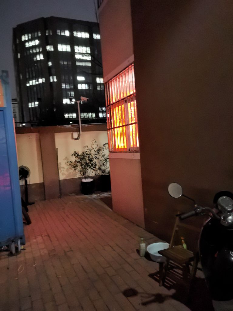 宠一生宠物