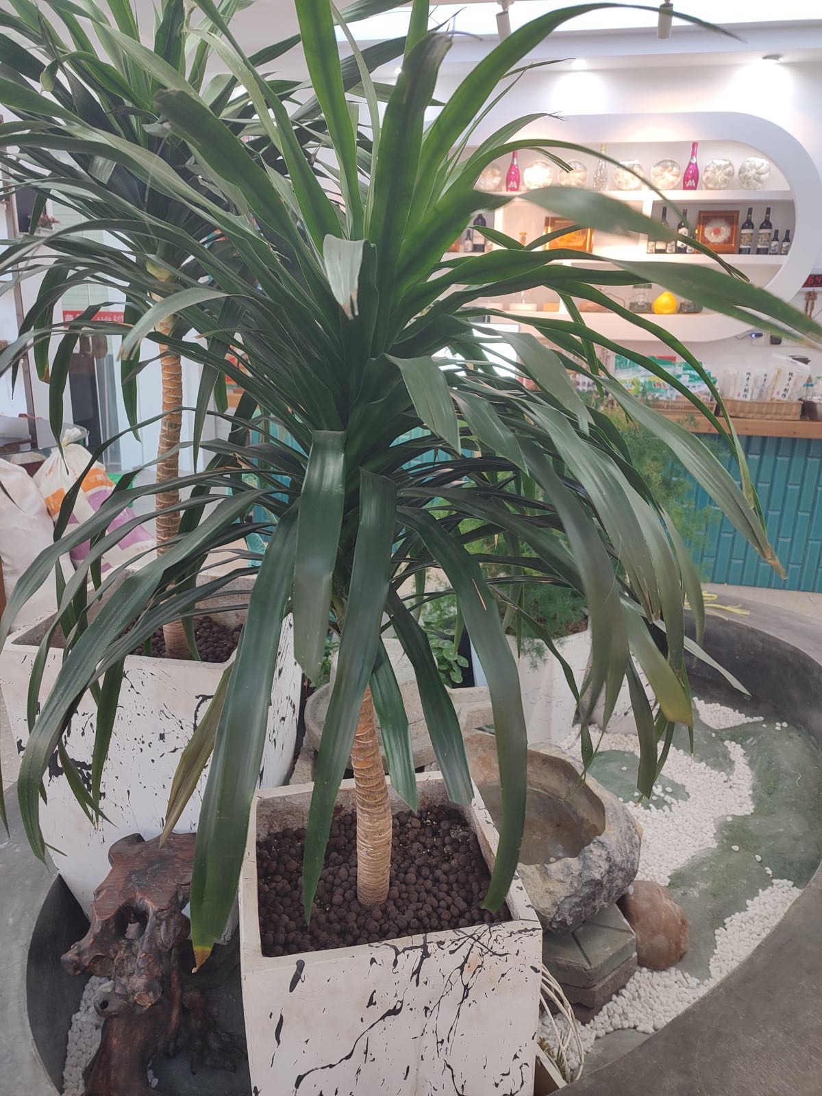 花厨特色食馆(绣都苑店)