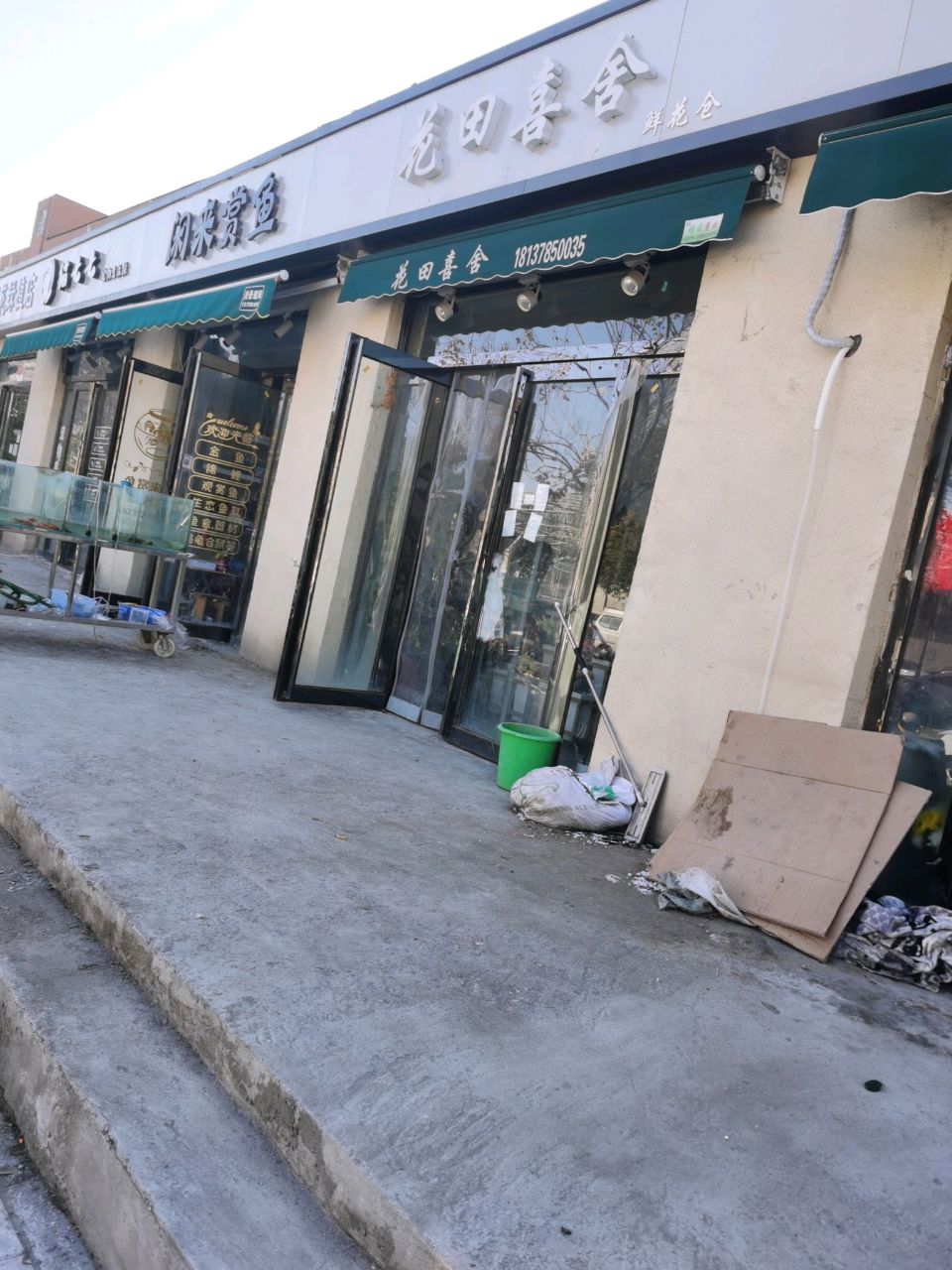 闲来商鱼