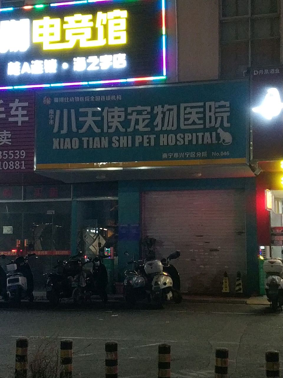 小天使宠物医院(明秀东路店)
