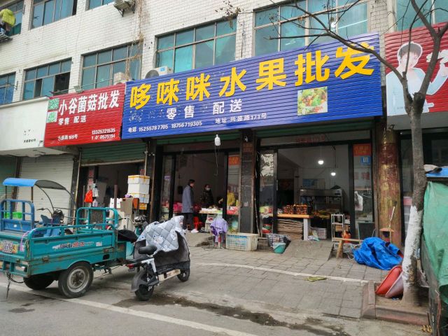 哆唻咪水果批发