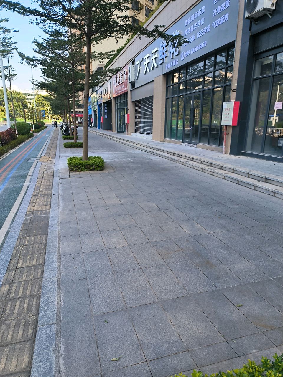 信宜天天鲜花(教育城店)