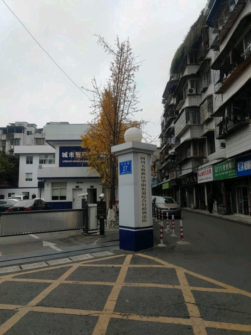 袁门专业修脚