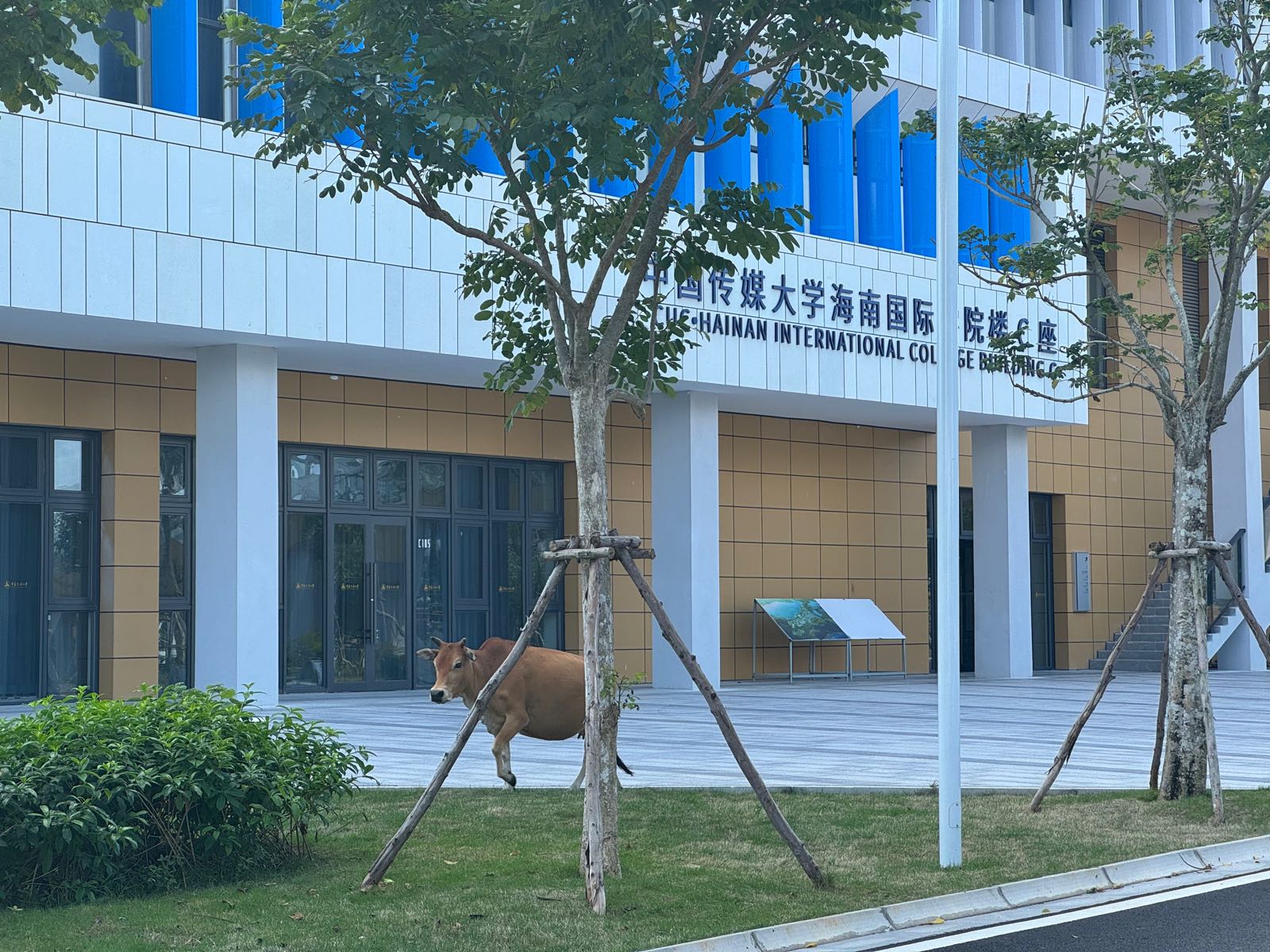 中国传媒大学海南国际学院