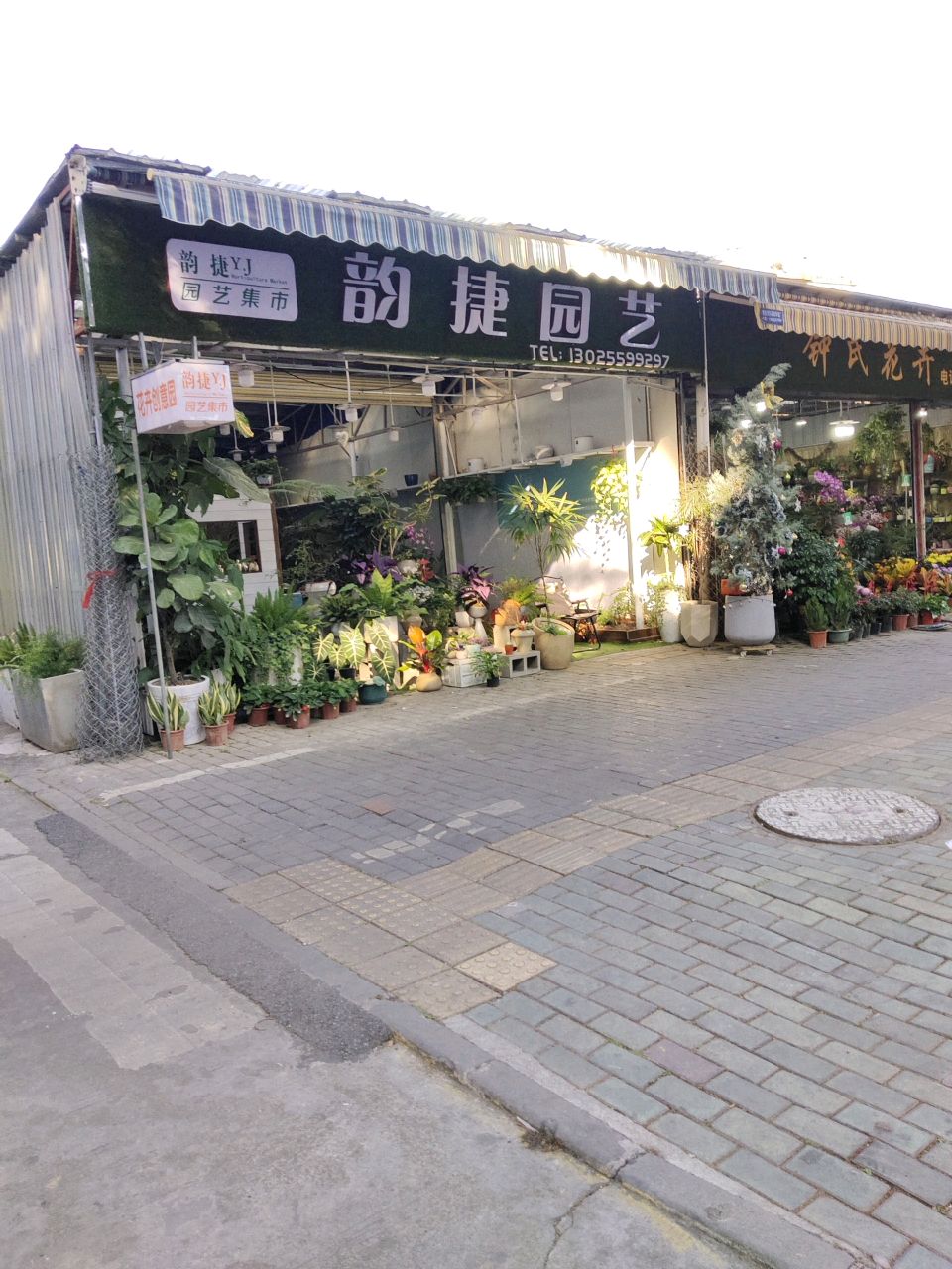 钟氏花卉