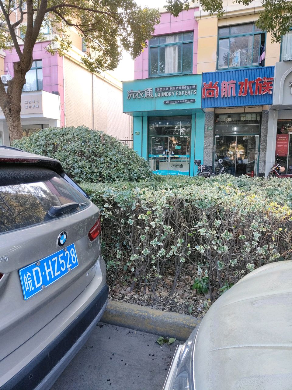 尚航水族(金色航城池鑫苑店)