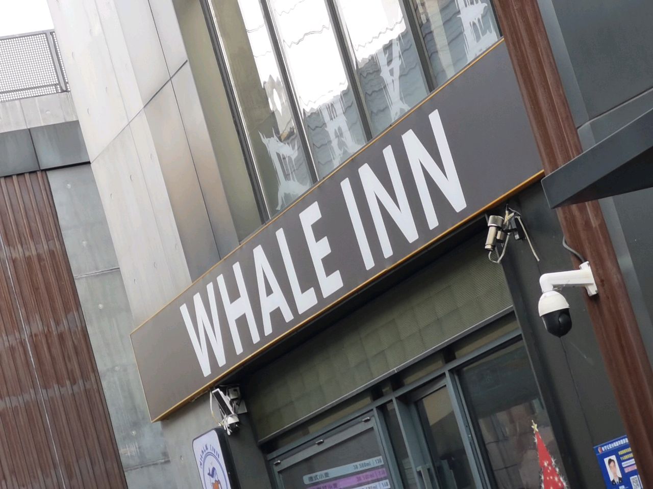 WHALE INN鲸饮