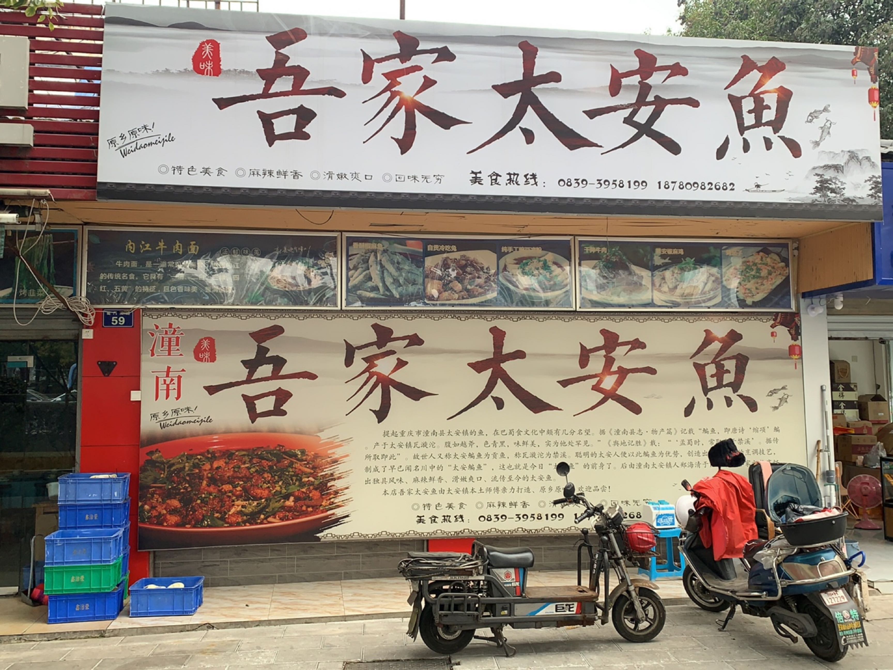 吾家太安鱼
